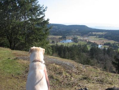 Mount Young