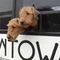 Bow Wow Buss Pet Dog Friendly