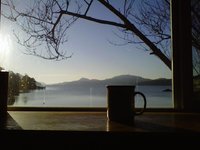 Darvill's Bookstore Coffee Cup Overlooking Bay
