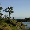 Shark Reef Park
