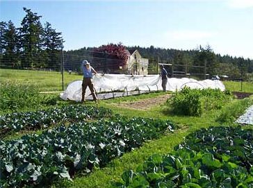 Synergy Farms-2